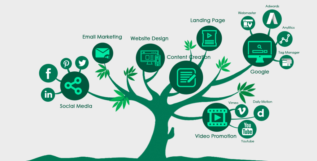 best web development company in ludhiana